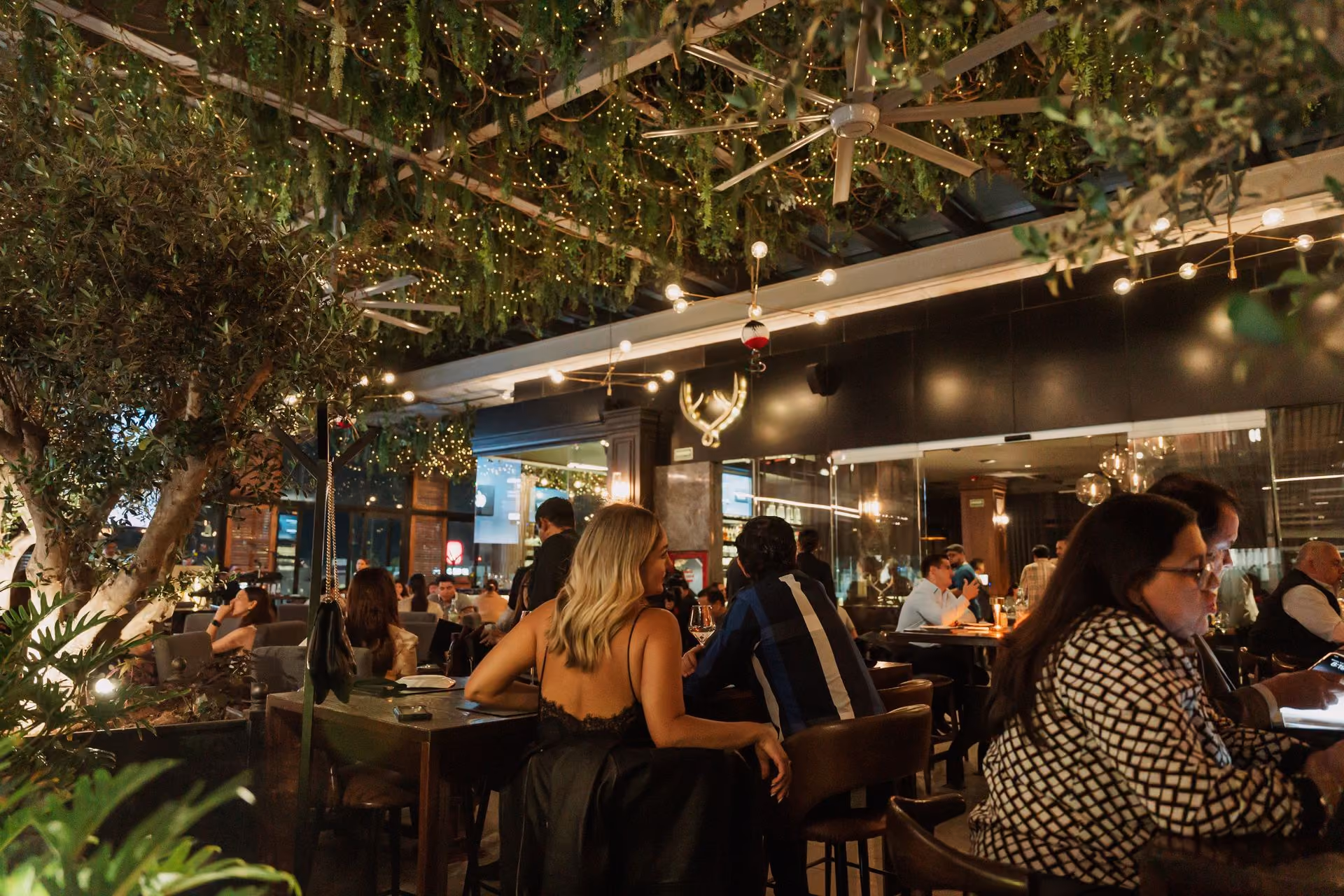 Terraza bajo la enredadera con luces colgantes, llena de invitados