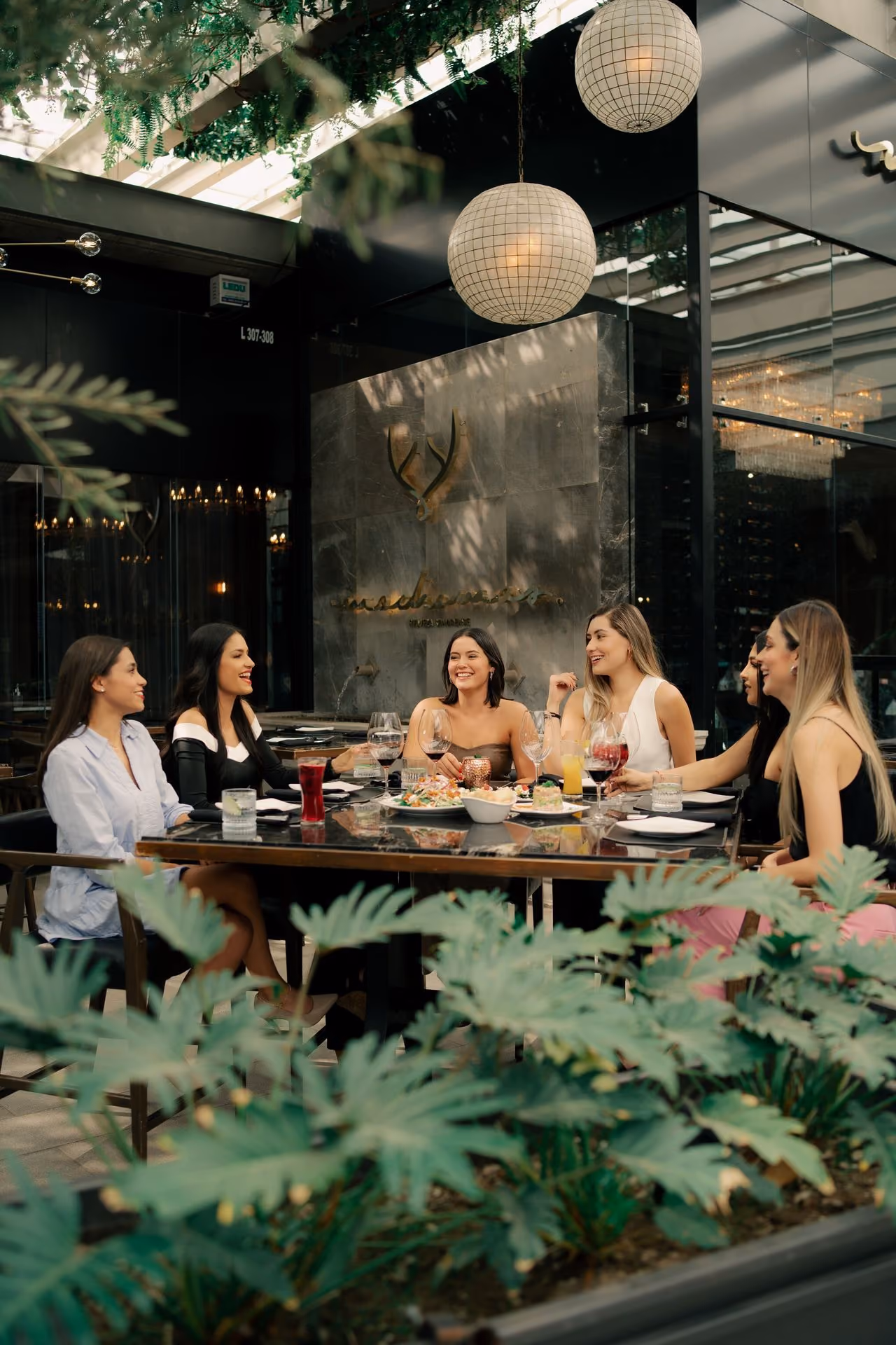 Amigas en la terraza entre plantas