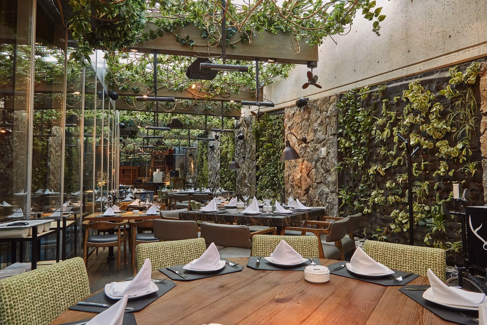 Terraza de Mochomos CDMX Palmas con muro de piedra y techo de enredadera