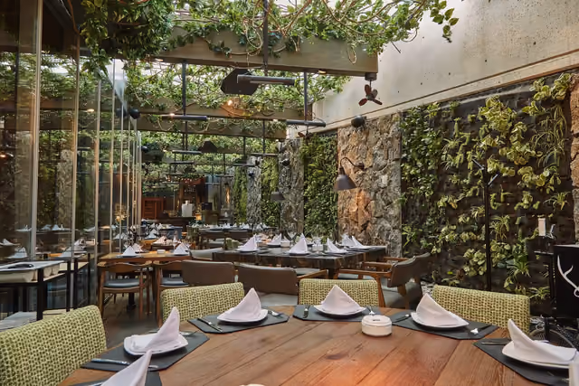 Terraza de Mochomos en la Ciudad de México con muro de piedra y techo de enredadera