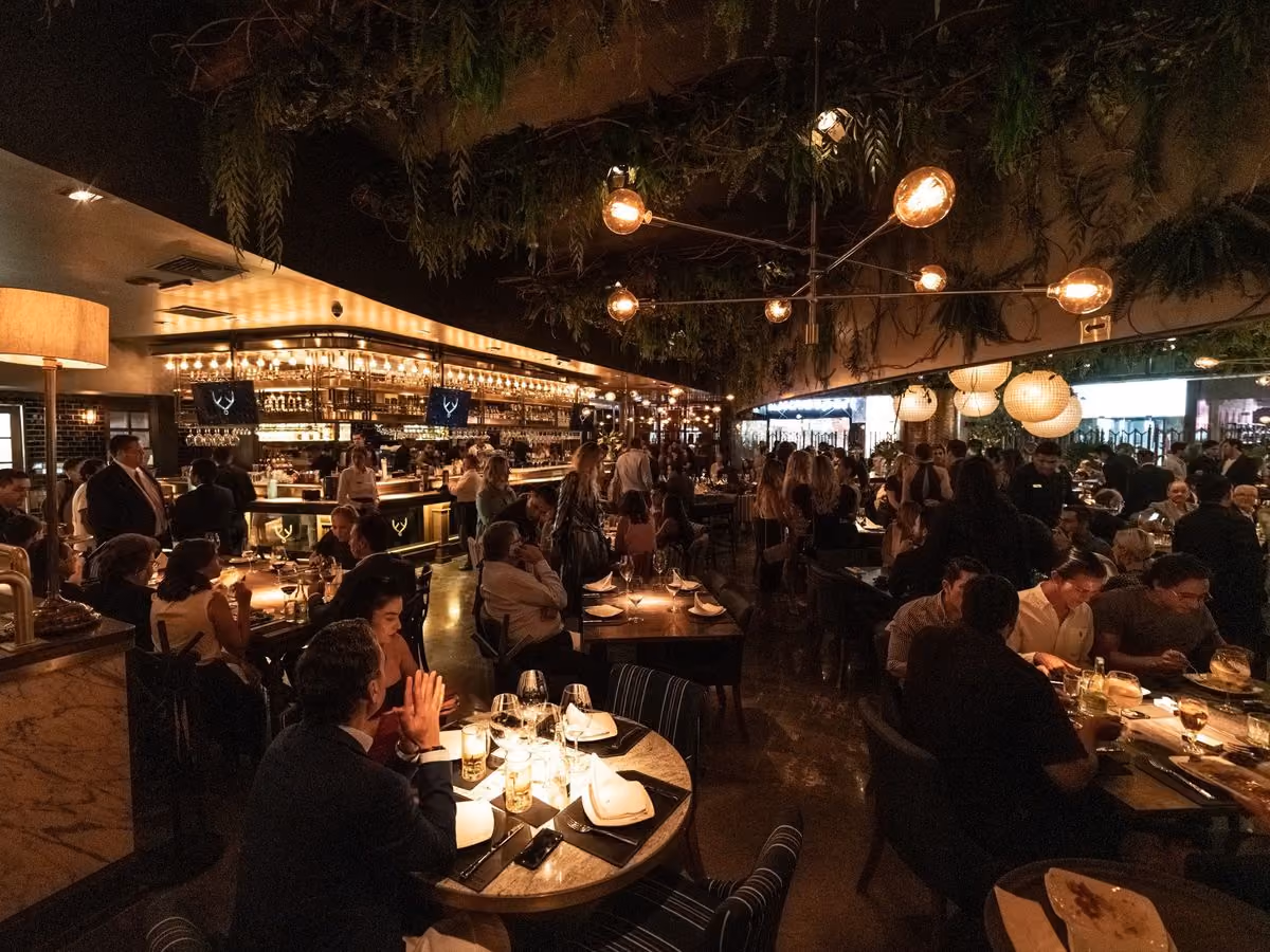 Salón de Mochomos Guadalajara lleno de noche, con la barra al fondo