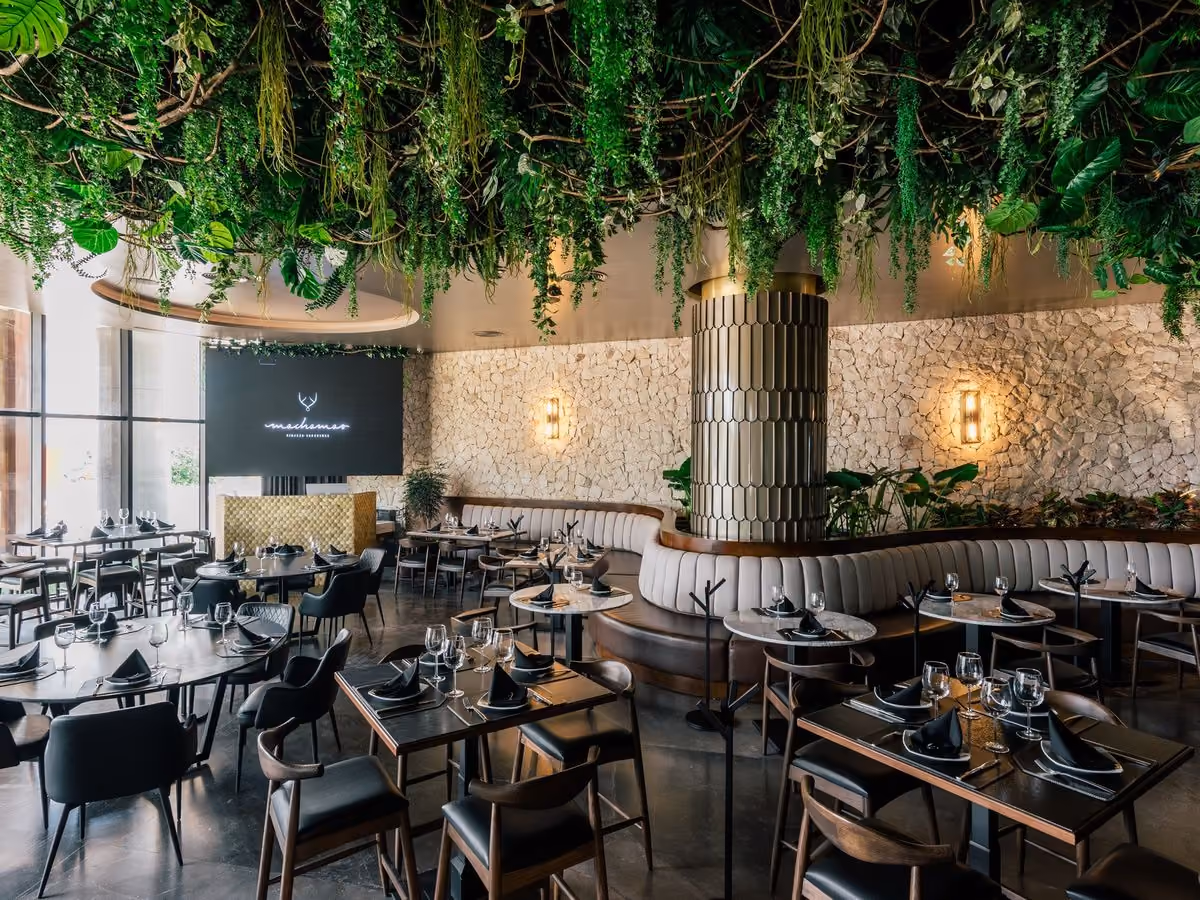 Salón de Mochomos Mérida con plantas colgantes y muro de piedra