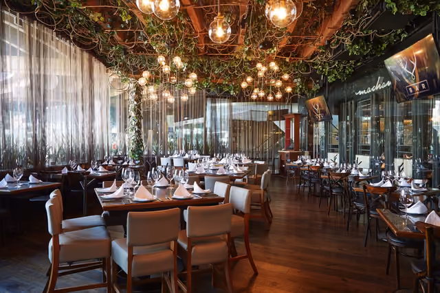 Salón de Mochomos Monterrey con esferas de luz colgando entre la enredadera
