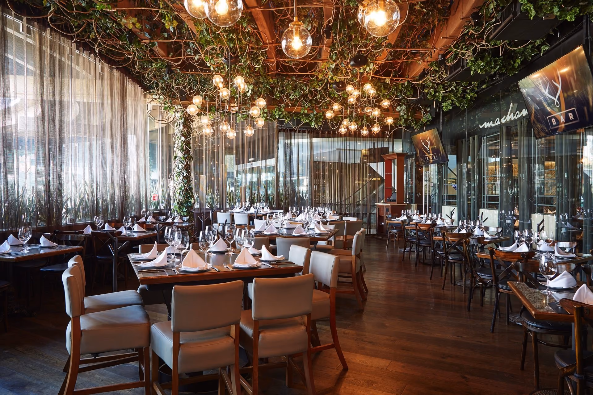 Salón de Mochomos Monterrey con esferas de luz colgando entre la enredadera